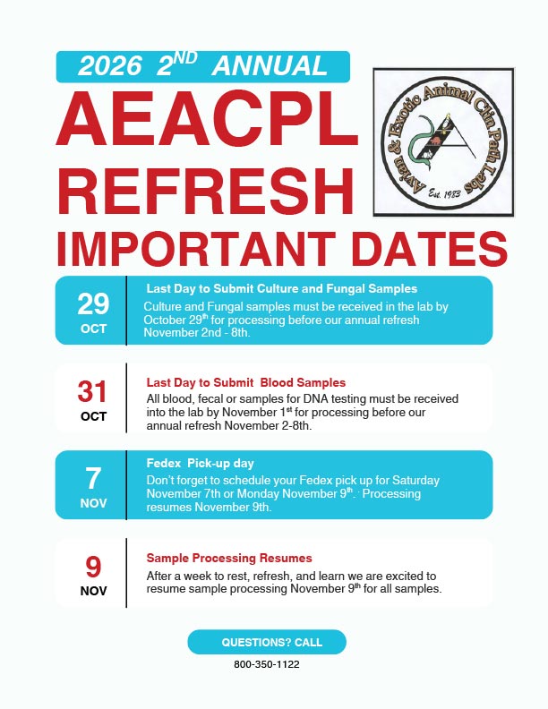 2026-AEACPL-Important-Dates-Flyer